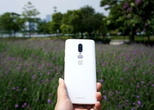 我的月牙白很多 是什么问题?