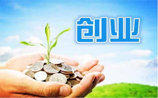 网络创业有些什么？