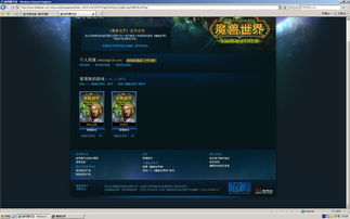 网易的那个战网是什么意思