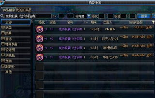 dnf宠物迷你缔造者多少钱