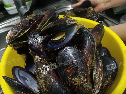 福州送餐永辉好还是朴朴工作好