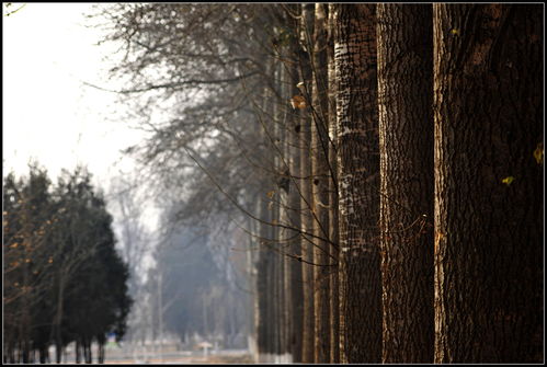 橡树摄影网电话是多少