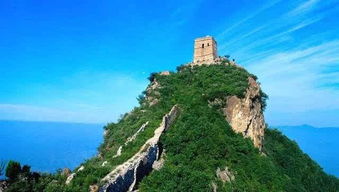 泰山在哪？哪个市？哪个县？