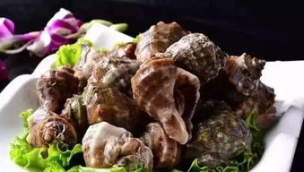 海螺煮多久才可以吃