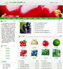 英文网站的优化