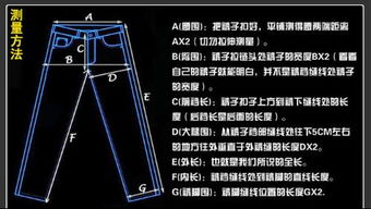 臀围量哪个位置示意图