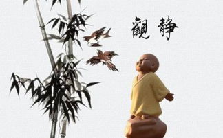 看破红尘是什么意思打一生肖,我已看破红尘是什么意思