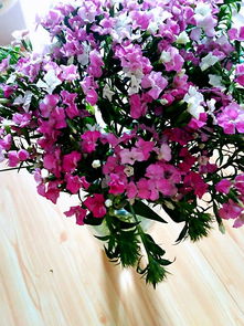 花点时间怎么取消续订？