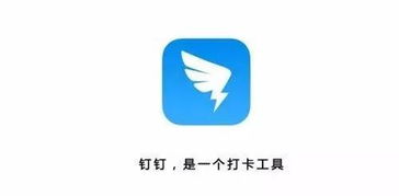 豆瓣 开端,豆瓣 焦裕禄