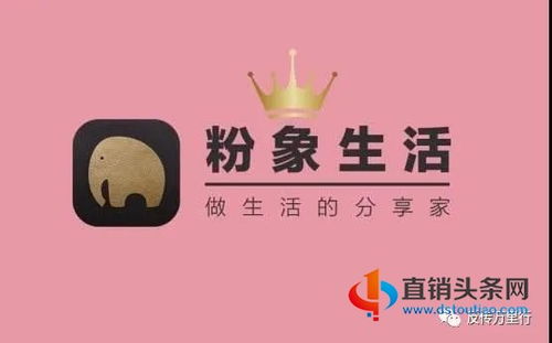 粉象生活官网是哪个