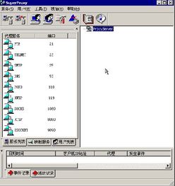 代理服务器软件,代理服务器怎么设置