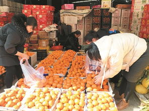 昆明 的酒水批发市场在哪？