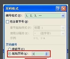如何设置页码从指定页开始