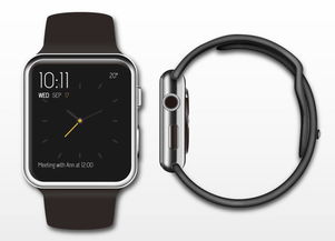 苹果iwatch容量多少