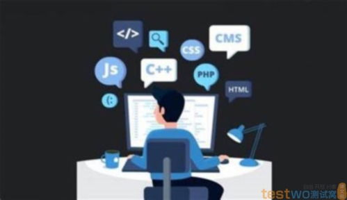 软件开发工程师需要学什么,软件工程需要学什么