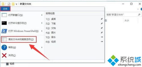 苹果手机的itunes备份在哪个文件夹？