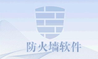 全球防火墙前十名排行？