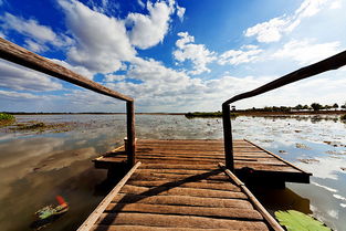 skylake中文是什么意思