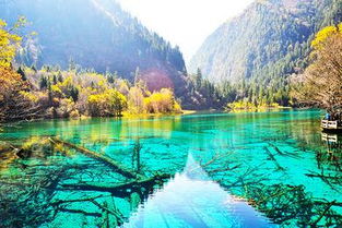 九寨沟在哪个省