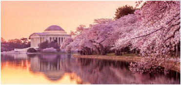 华盛顿州立大学美国排名,华盛顿州和华盛顿特区的关系