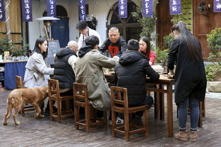 大叔小馆什么时间播出，在哪里播出？