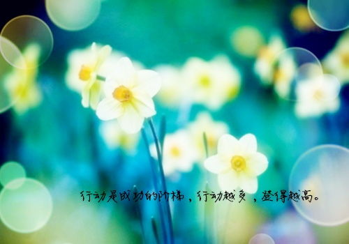 心向阳光的古诗