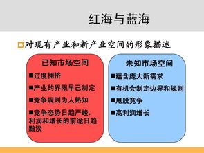 《蓝海战略》主要讲什么