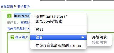itunes英语怎么读