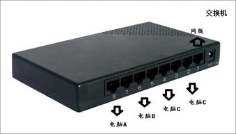 交换机后能再接路由器吗