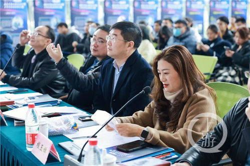 大学生创新创业项目计划书,大学生创业计划书