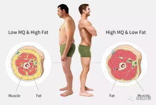 体脂率计算公式哪个更正确？