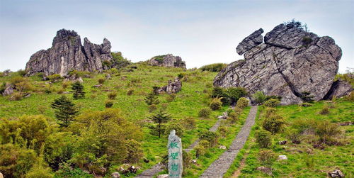 什么动物没有方向感