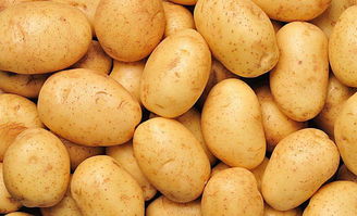 土豆官网:potato.im