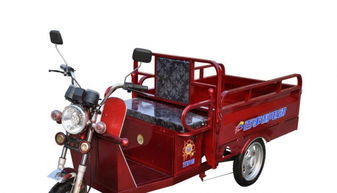 电动三轮车十大品牌