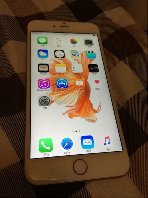 “plus”怎么读？是什么意思？