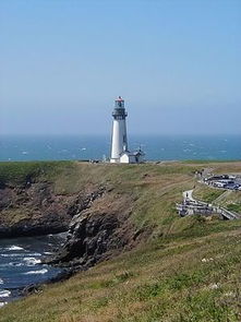 p和t是什么意思