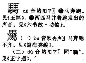 四个马念什么字