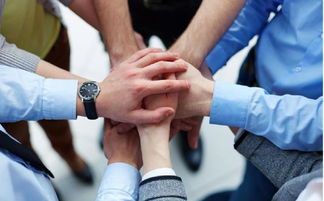 什么是团队协作