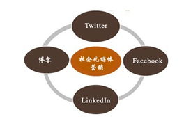 什么是媒体 媒体指的是什么