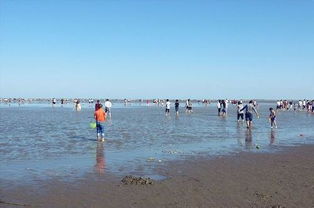 拈花湾夜景灯光秀