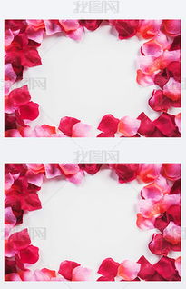 花瓣设计网站官网,花瓣网首页 包装素材