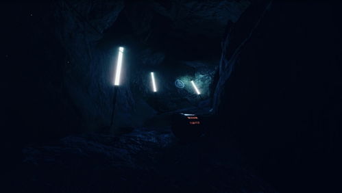 人畜体神秘图案悬谜是什么？