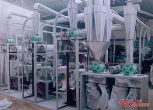 我想开个小型加工厂或者小型厂，需要多少资金。 建