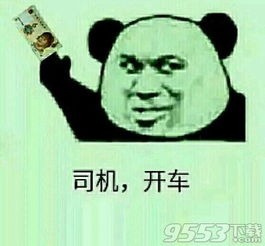 老司机是什么意思