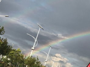 什么的阵雨填空