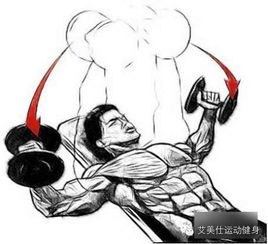 正确的哑铃的锻炼方法