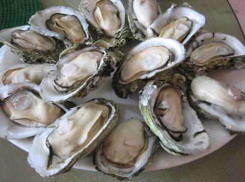 生蚝的清洗方法及制作过程