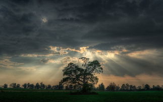 高清晰免费在线电影，绝对高清晰