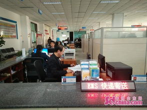 高唐县政务网退伍军人第三批报名了，现在安排了吗？