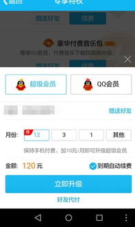 qq续费svip是什么意思